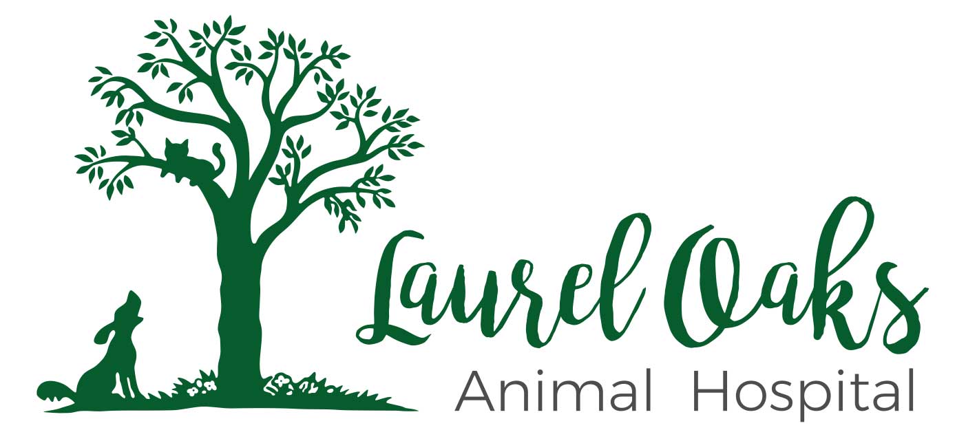 Veterinarian in Kingsland, GA | Laurel Oaks Animal Hospital