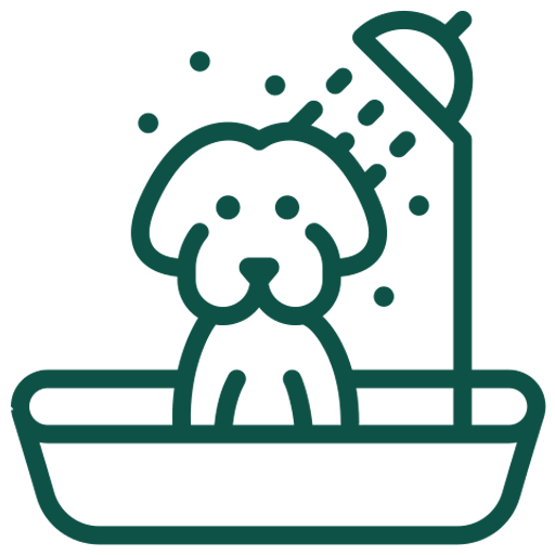 dog bathing grooming bath care icon